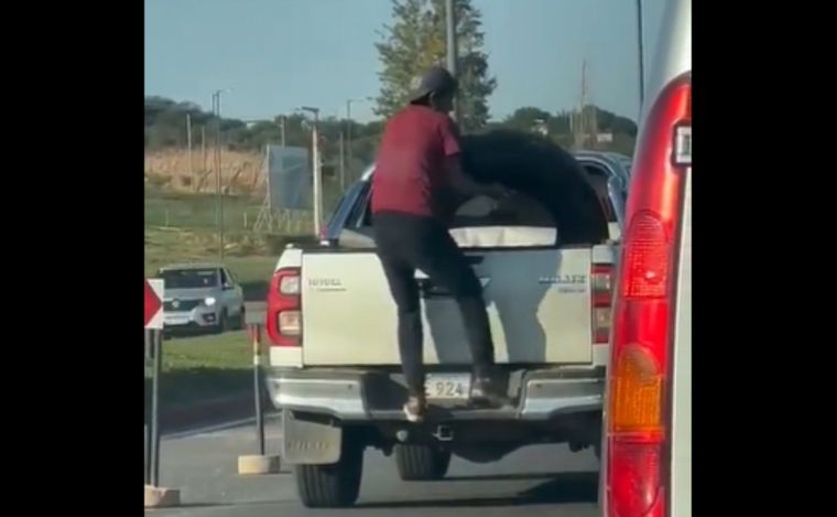 FOTO: Intentan robar una cubierta que una camioneta llevaba en la caja.