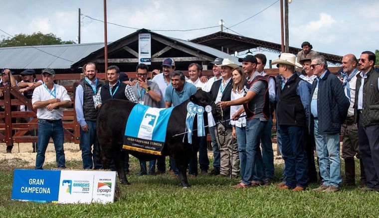 Inolvidable. Un hito en la historia del Brangus argentino.
