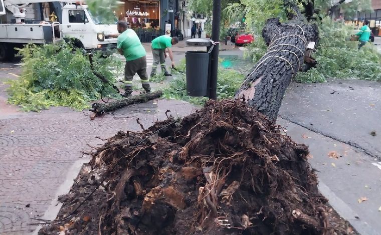 Dos autos destruidos en Buenos Aires. (Foto: Orlando Morales/Cadena 3)