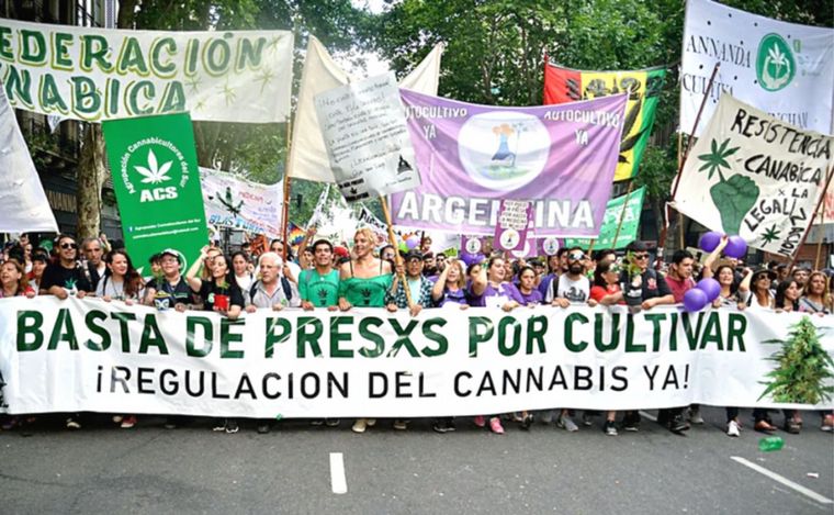 FOTO:  Piden por los derechos de los usuarios de cannabis en Rosario. 