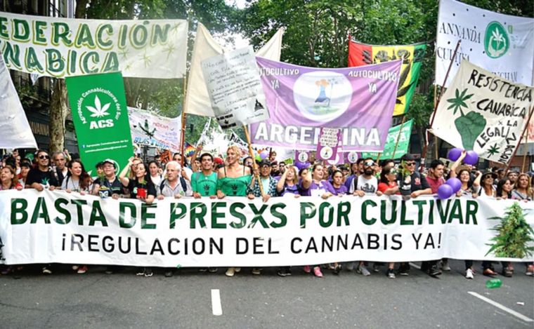 Piden por los derechos de los usuarios de cannabis en Rosario.