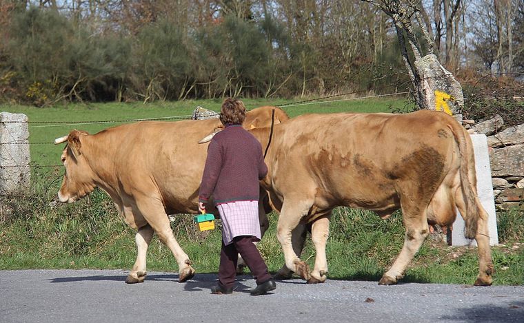 Primer día en el Camino