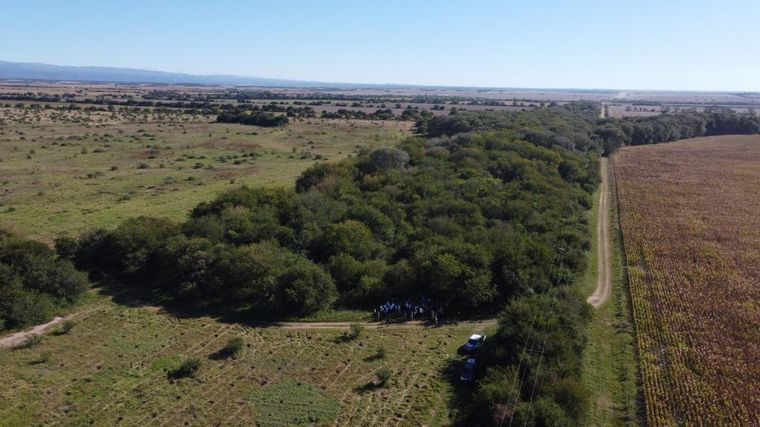 Federada Salud se sumó al plan para reforestar Córdoba.
