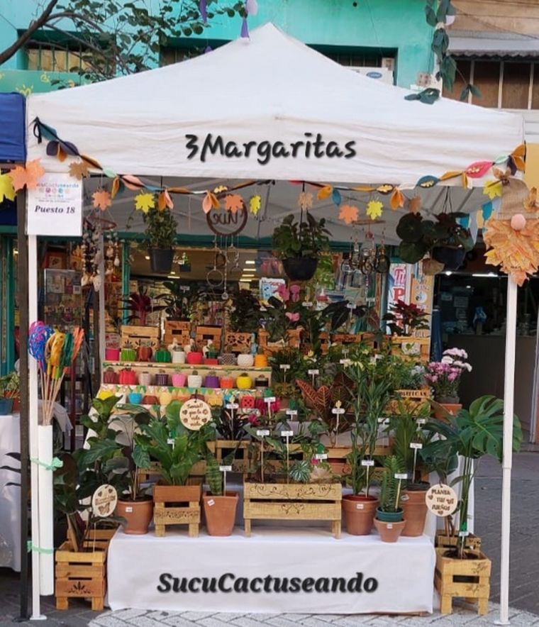 Inés y Alberto unieron sus oficios a través del amor a las plantas.