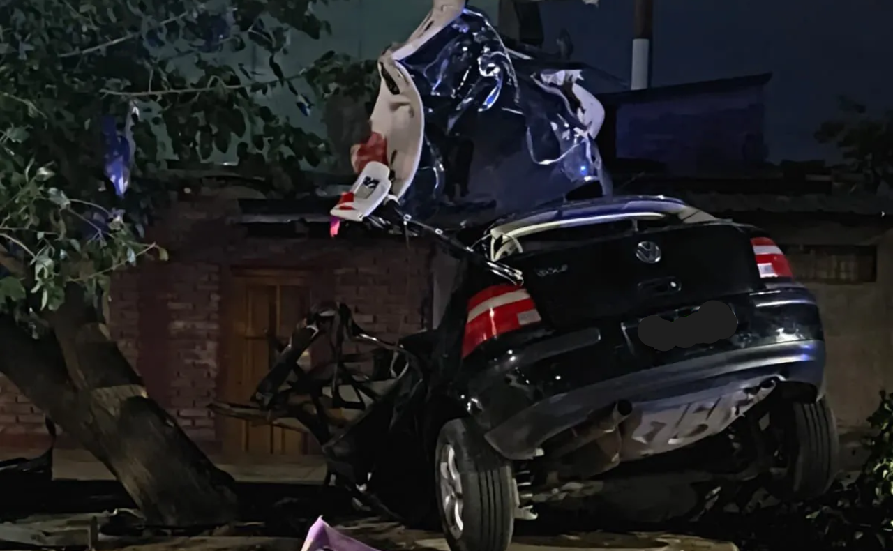 Cuatro jóvenes se mataron al chocar contra un árbol en Mendoza - Notas ...