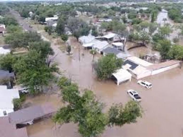 El Estado ausente: de los osos de Grafton a las inundaciones de Texas episode artwork